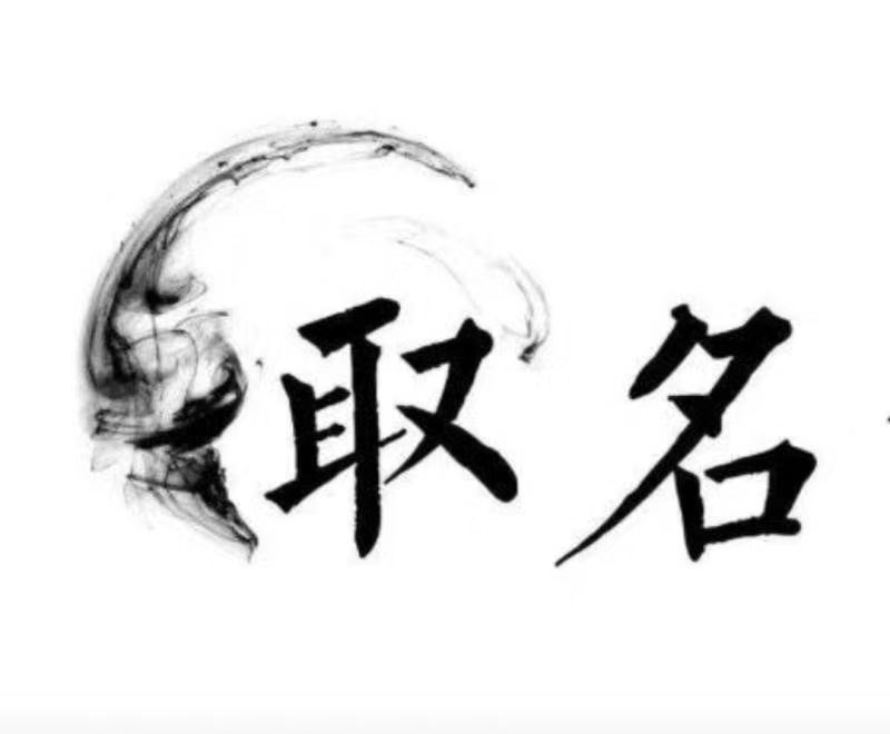  嘉兴宝宝取名 大师一对一人工起名
